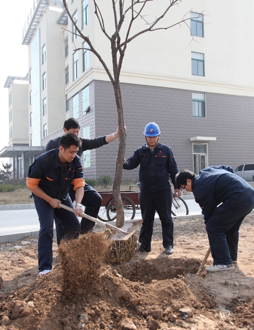 济矿民生热能“学习雷峰、义务植树”活动