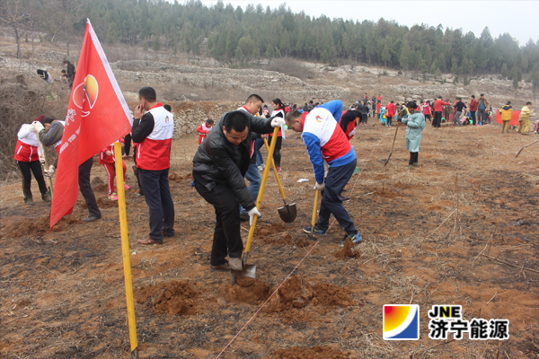 集团公司青年志愿者积极参加义务植树活动