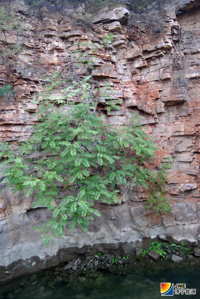 1571797424584931.png 图片3.png