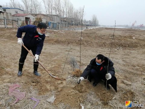 济矿物流：干群合力7小时 9000多株花椒树顺利种植