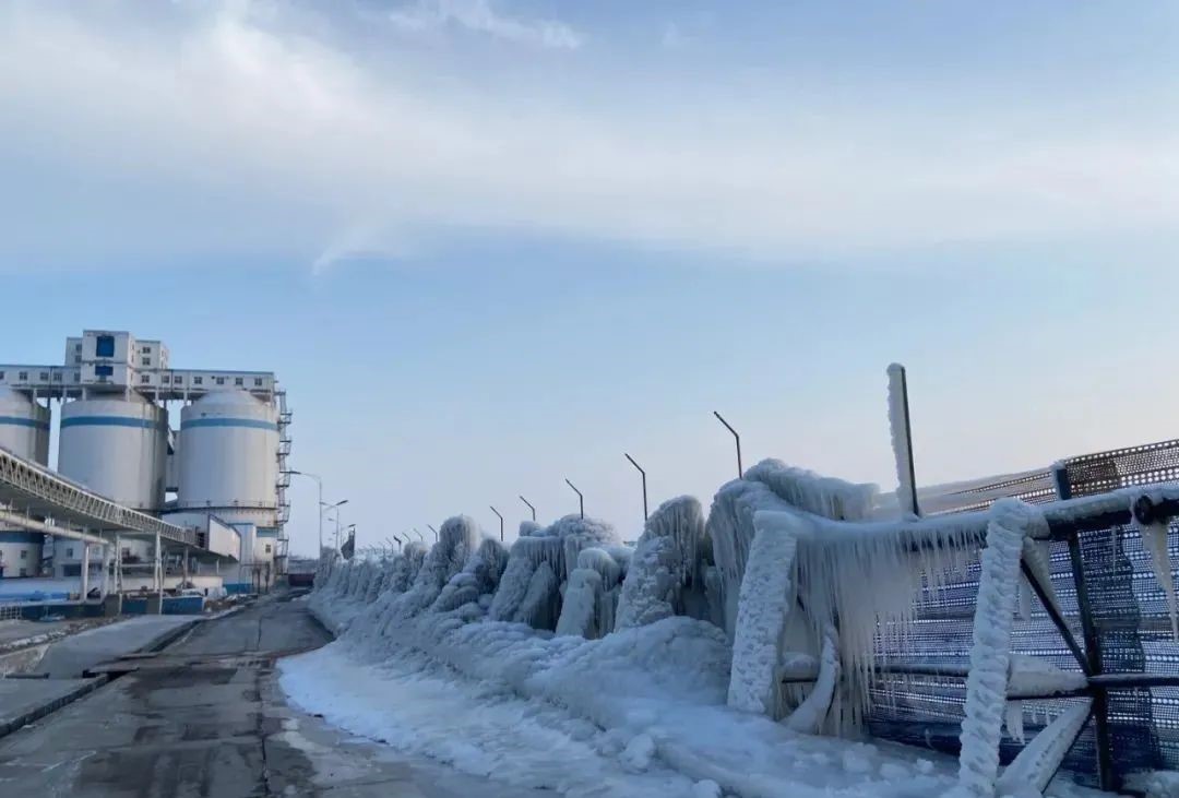 1608532697299507.jpg 2.jpg