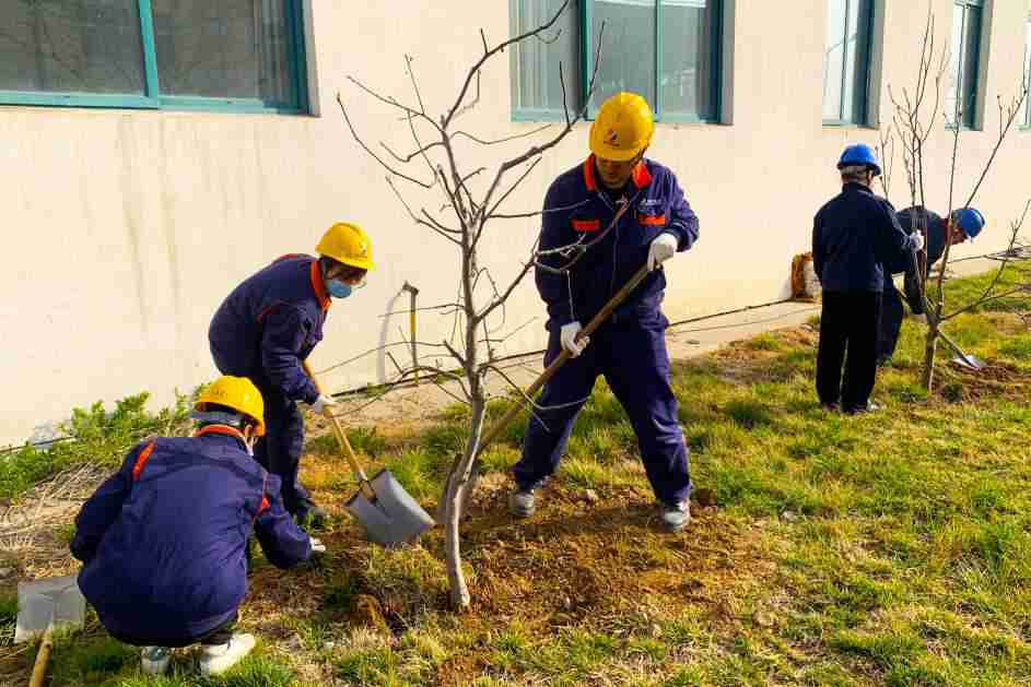 1615101817333903.jpg 民生热能:民生热能开展学雷锋志愿服务日美化厂区环境5(潘璇).jpg