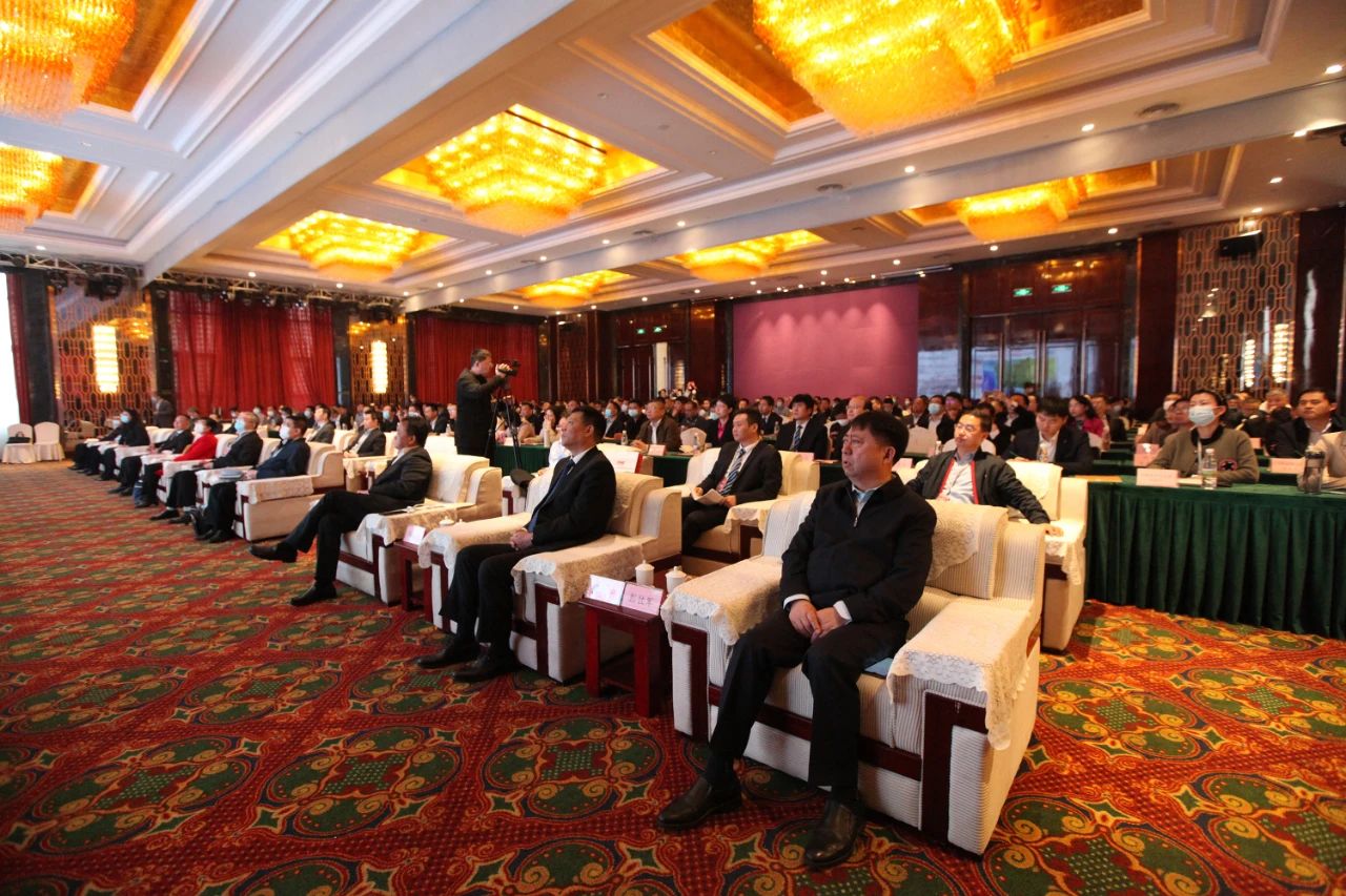 1617979241811812.jpg 1617979241811812.jpg