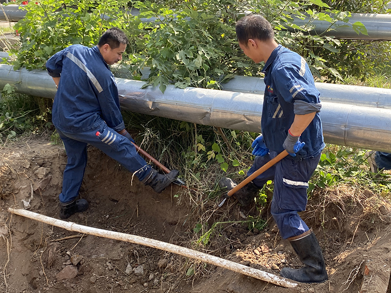 1623749640786810.jpg 11.jpg