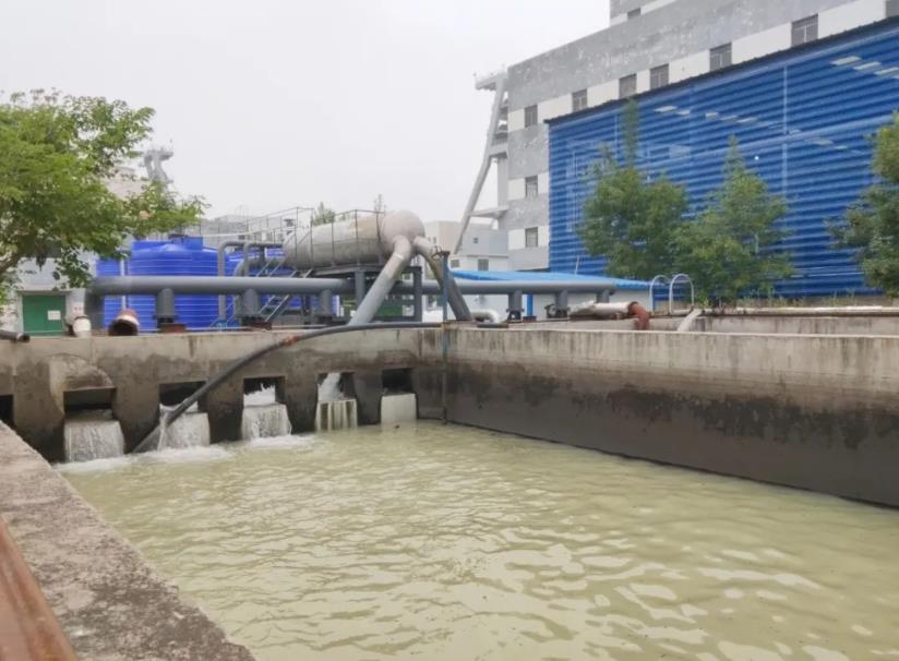 1625814715669318.jpg 1625814715669318.jpg