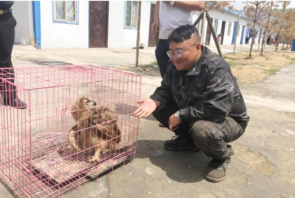 1627604317898148.jpg 1627604317898148.jpg