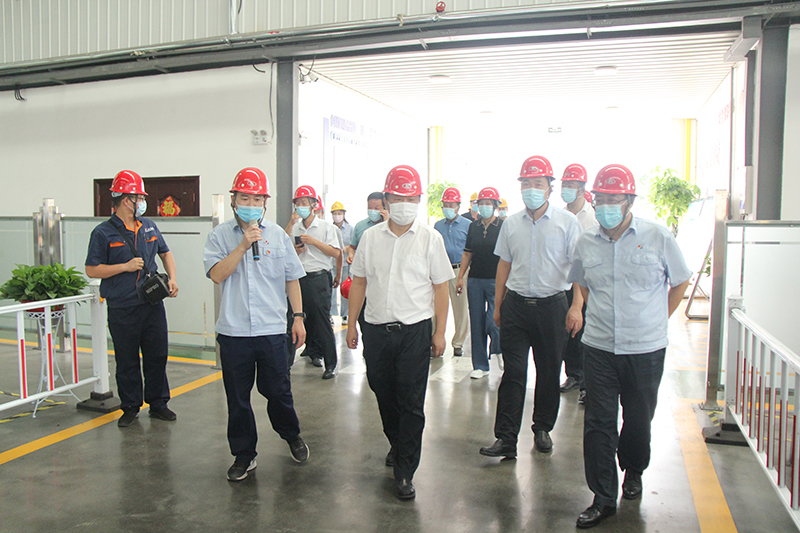 1629281276407573.jpg 100.jpg