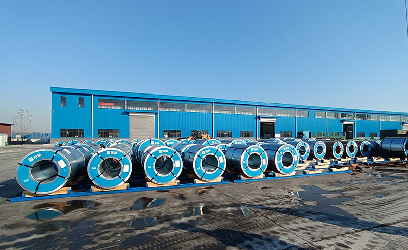 1639559809338674.jpg 800.jpg