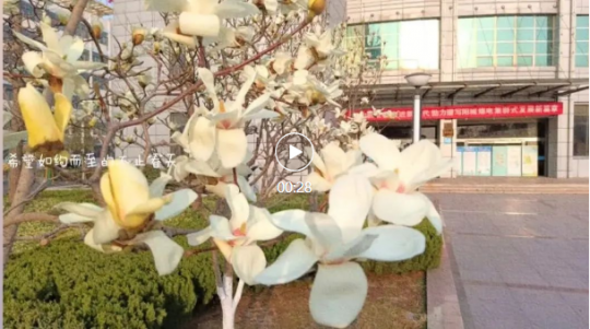 图说阳城春景丨人勤春来早
