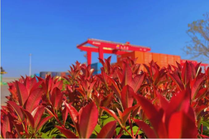 1681261980700136.jpg 微信截图_20230412091111.jpg