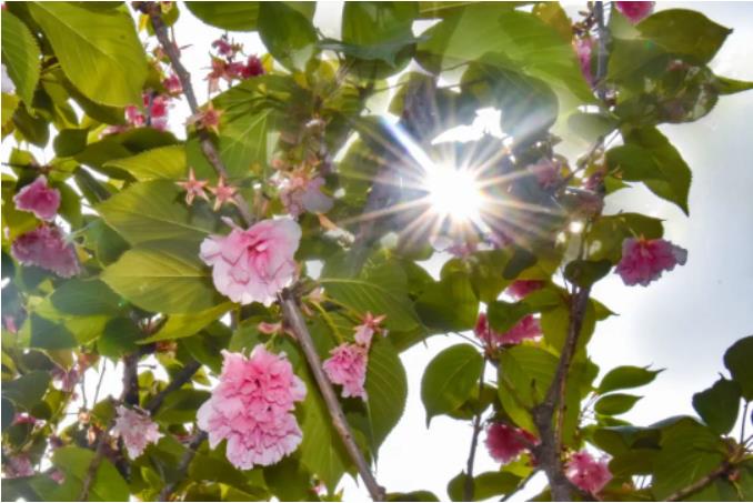 1681786795809398.jpg 微信截图_20230418105840.jpg