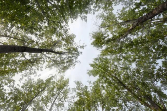 1681786802595024.jpg 微信截图_20230418105850.jpg