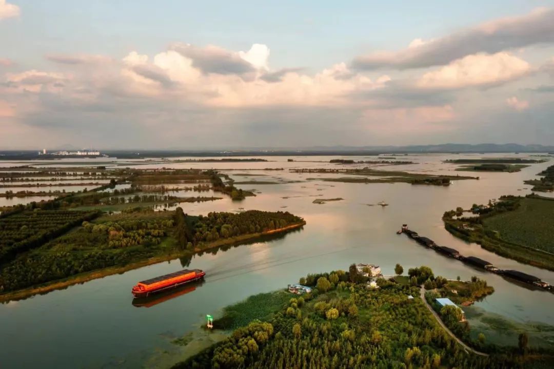 1699407839829136.jpg 640 (9).jpg