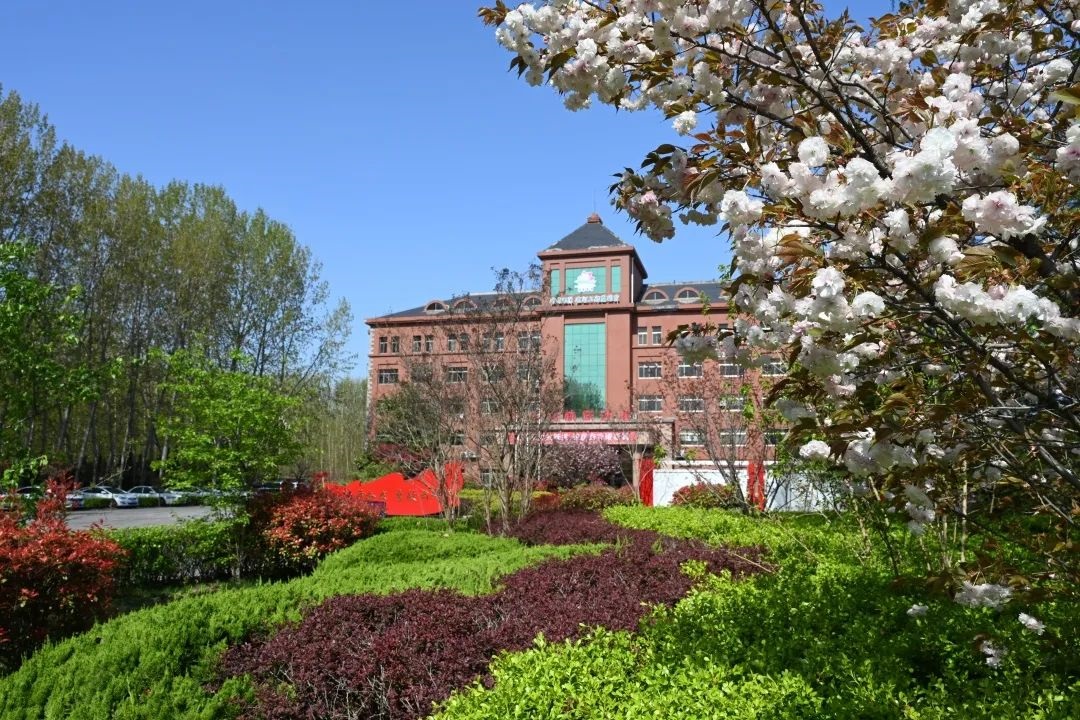 1704866524466937.jpg 6407777.jpg