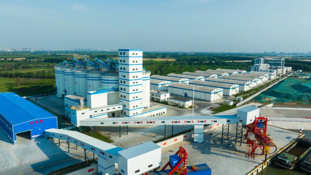 1717549493547063.jpg 00.jpg