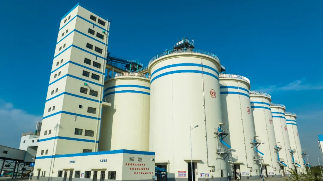 1717549532902462.jpg 01.jpg