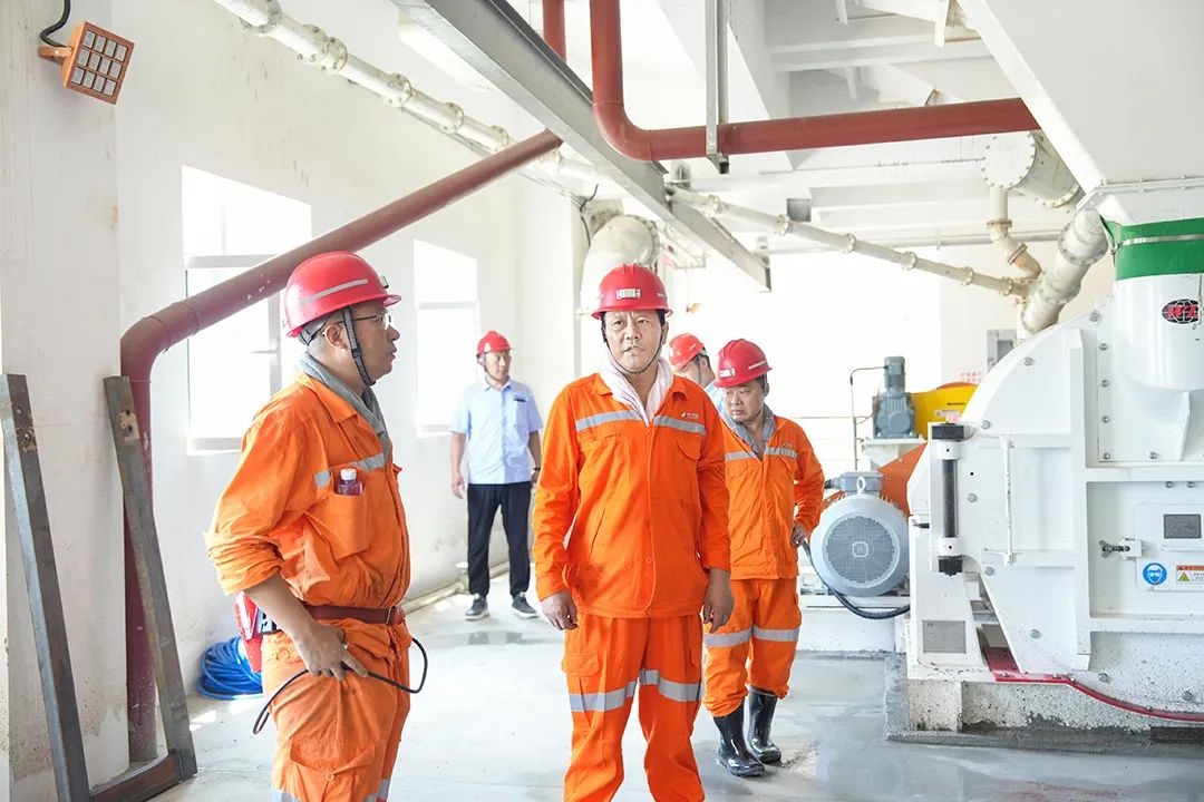 1725002538679902.jpg 0006.jpg