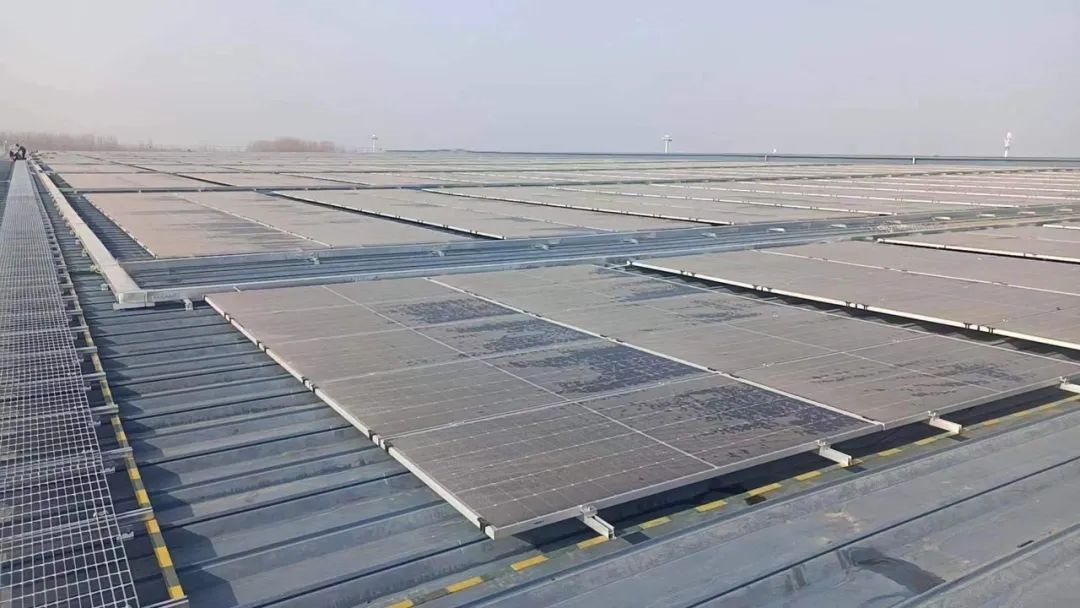 1727099812137508.jpg 0002.jpg