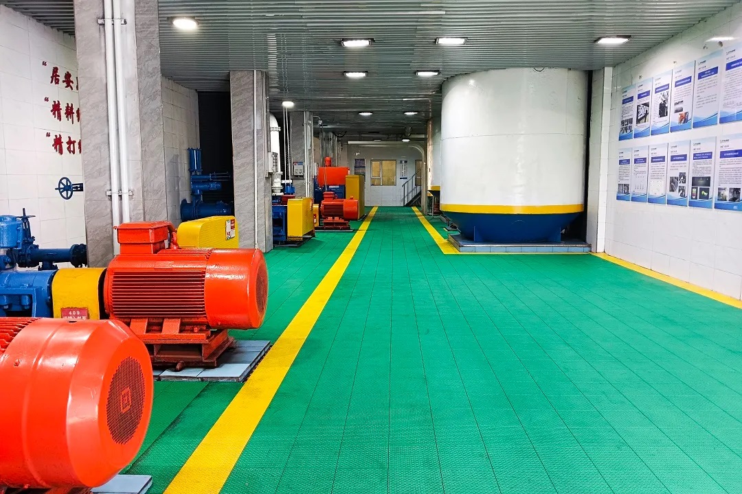 1735005582890671.jpg 003.jpg